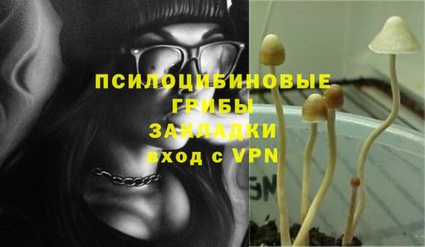 индика Алзамай
