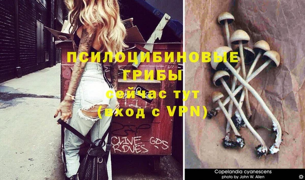 гашиш Аркадак